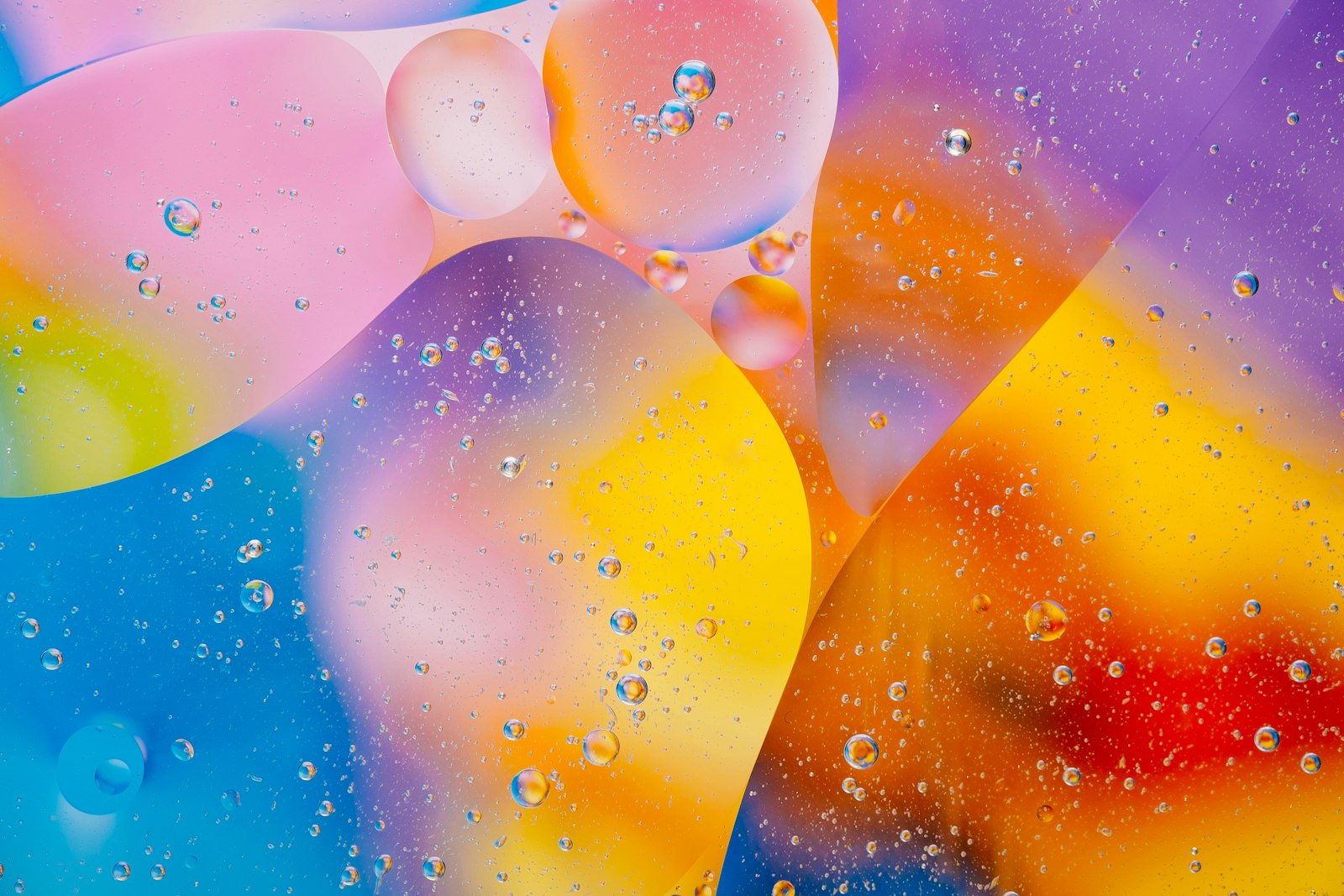 Macro photograph of oil droplets floating over pink, blue and yellow colour fields