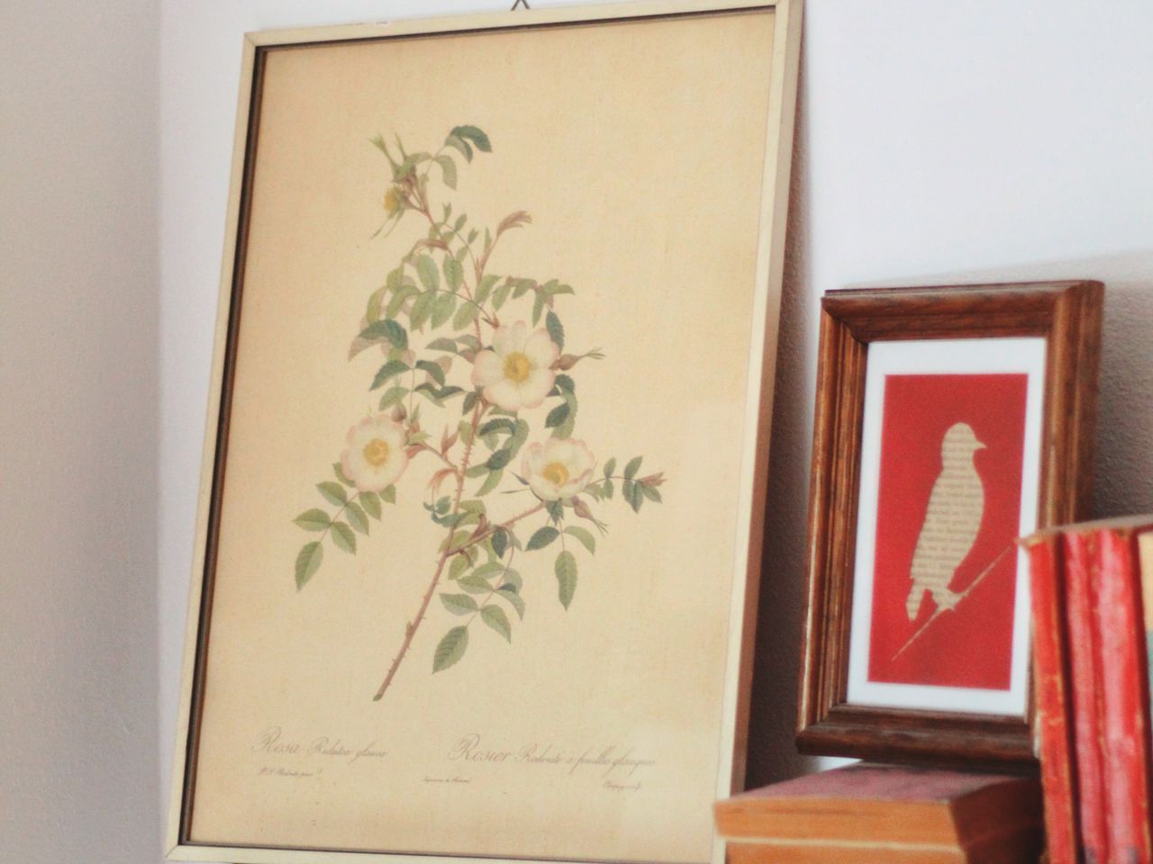 Botanical framed prints leaning together against a pale wall
